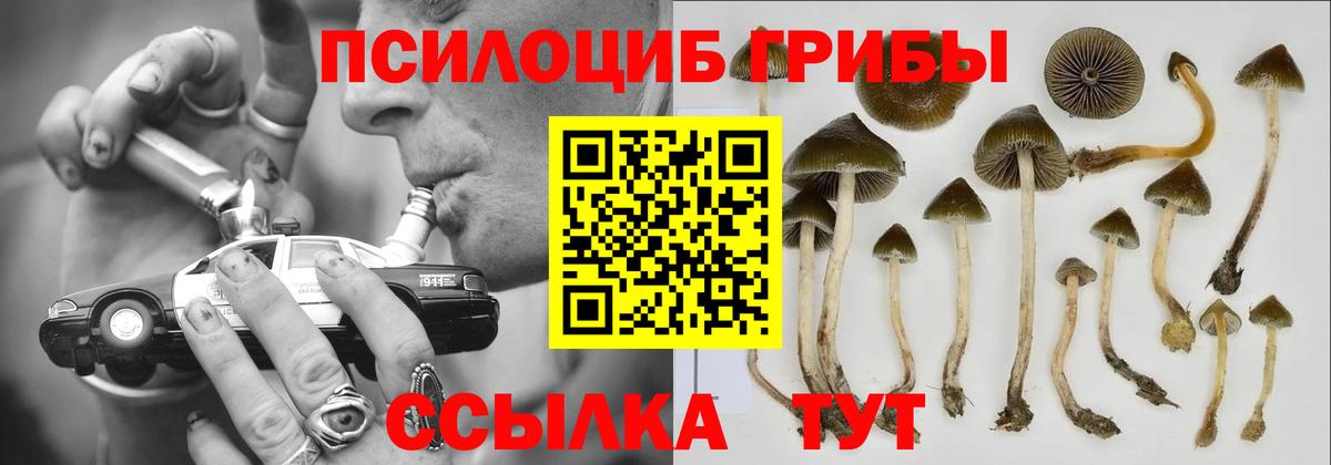 Галлюциногенные грибы прущие грибы Назрань