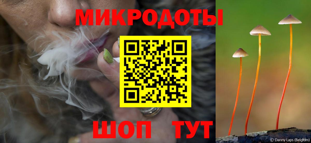 Псилоцибиновые грибы Psilocybine cubensis  Вход с VPN  Назрань 